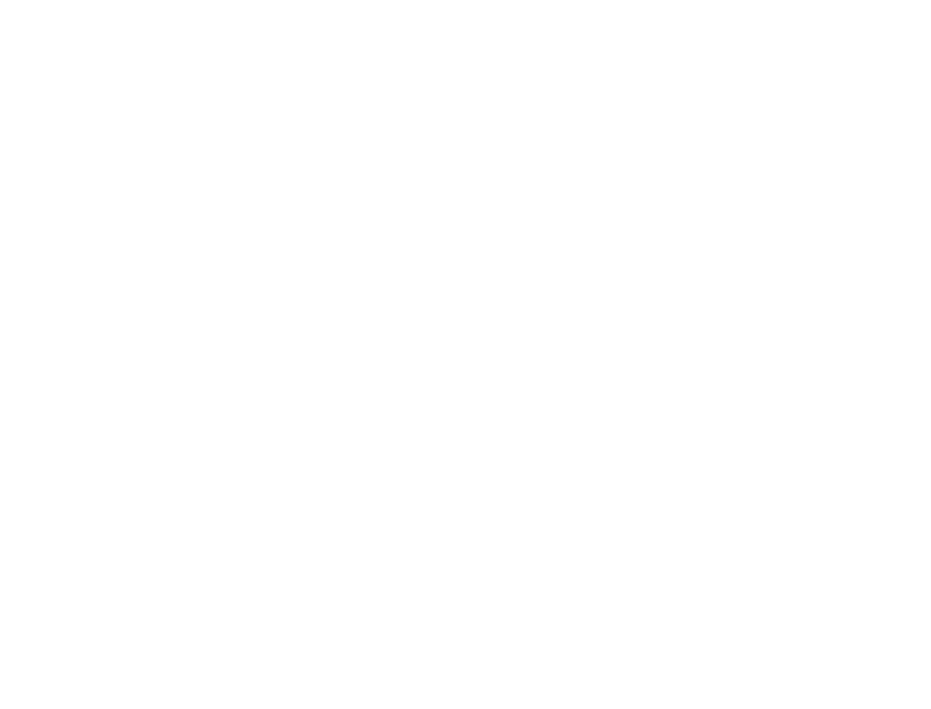 SOUL NEVER DIES 