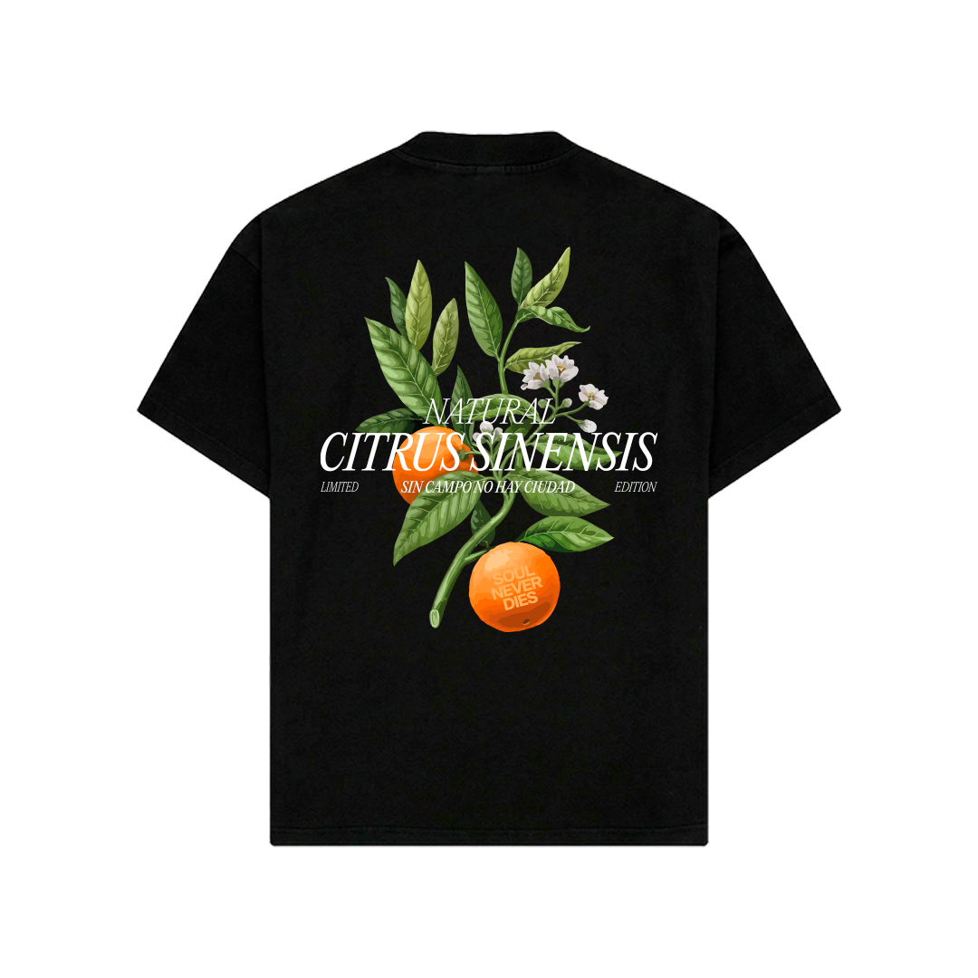 Camiseta CITRUS - OPEN VAULT - NEGRO