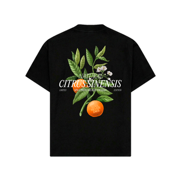 Camiseta CITRUS - OPEN VAULT - NEGRO