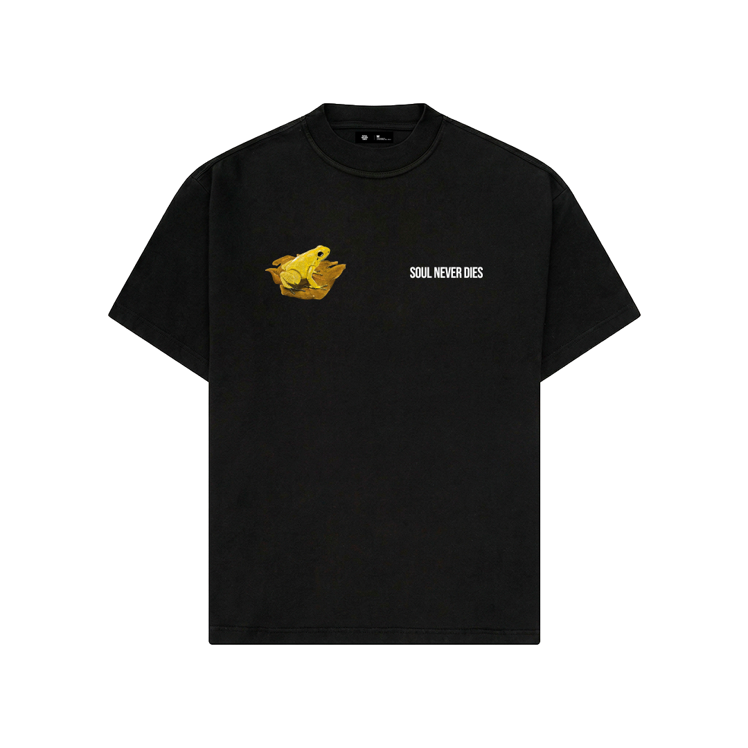 Camiseta COSTA PACIFICA - OPEN VAULT - NEGRO